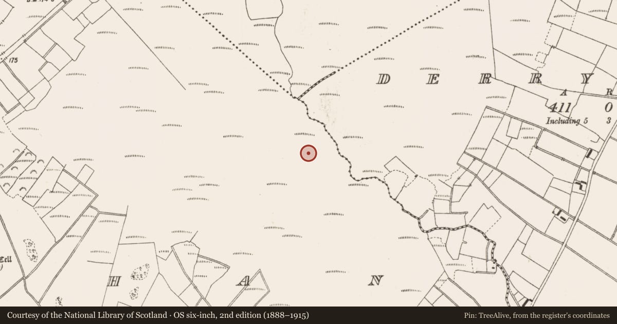 Ordnance Survey six-inch map, 2nd edition (1888–1915) covering the location of Structure - peatland, Lemanaghan, County Offaly, with a pin at the register's coordinates