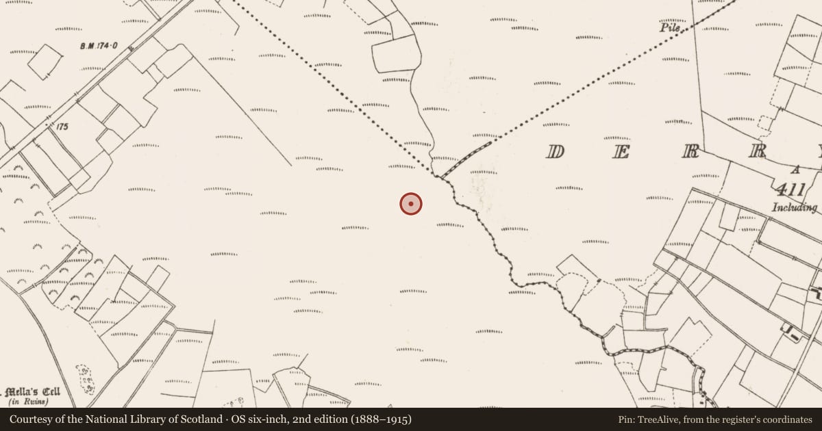 Ordnance Survey six-inch map, 2nd edition (1888–1915) covering the location of Structure - peatland, Lemanaghan, County Offaly, with a pin at the register's coordinates