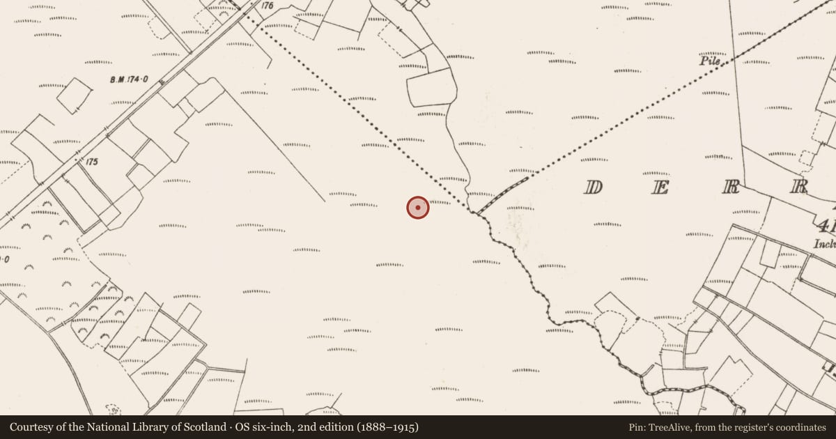 Ordnance Survey six-inch map, 2nd edition (1888–1915) covering the location of Structure - peatland, Lemanaghan, County Offaly, with a pin at the register's coordinates