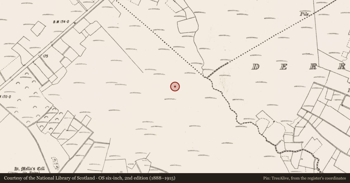 Ordnance Survey six-inch map, 2nd edition (1888–1915) covering the location of Road - class 3 togher, Lemanaghan, County Offaly, with a pin at the register's coordinates