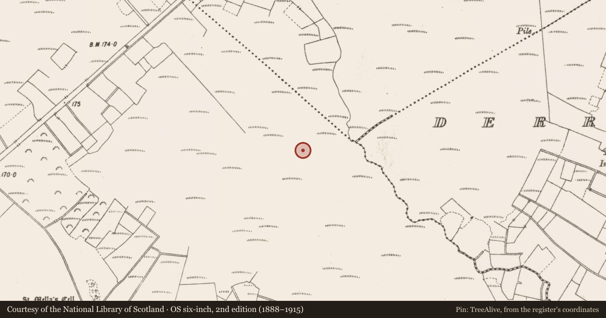Ordnance Survey six-inch map, 2nd edition (1888–1915) covering the location of Road - class 3 togher, Lemanaghan, County Offaly, with a pin at the register's coordinates