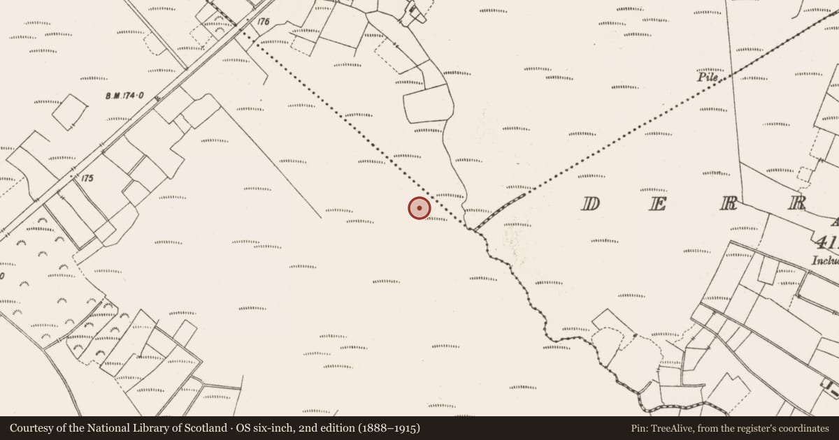 Ordnance Survey six-inch map, 2nd edition (1888–1915) covering the location of Structure - peatland, Lemanaghan, County Offaly, with a pin at the register's coordinates
