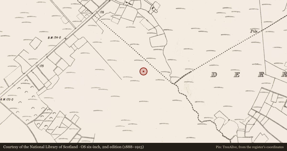 Ordnance Survey six-inch map, 2nd edition (1888–1915) covering the location of Structure - peatland, Lemanaghan, County Offaly, with a pin at the register's coordinates