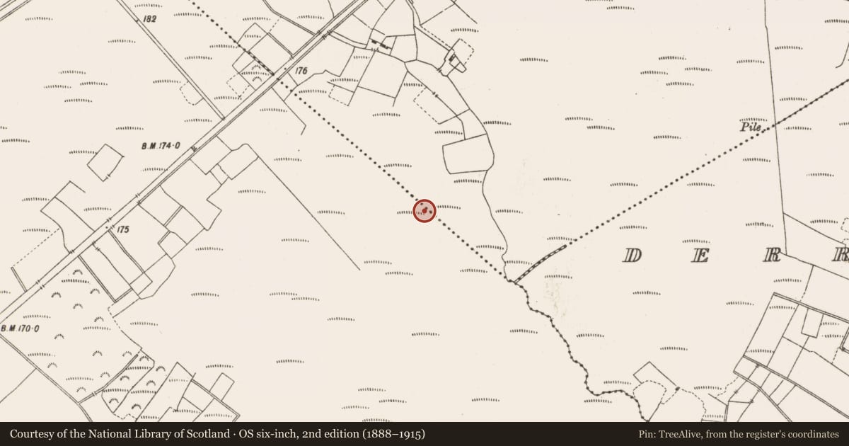 Ordnance Survey six-inch map, 2nd edition (1888–1915) covering the location of Structure - peatland, Lemanaghan, County Offaly, with a pin at the register's coordinates