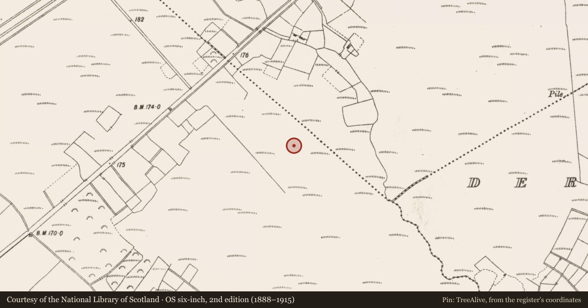 Ordnance Survey six-inch map, 2nd edition (1888–1915) covering the location of Structure - peatland, Lemanaghan, County Offaly, with a pin at the register's coordinates