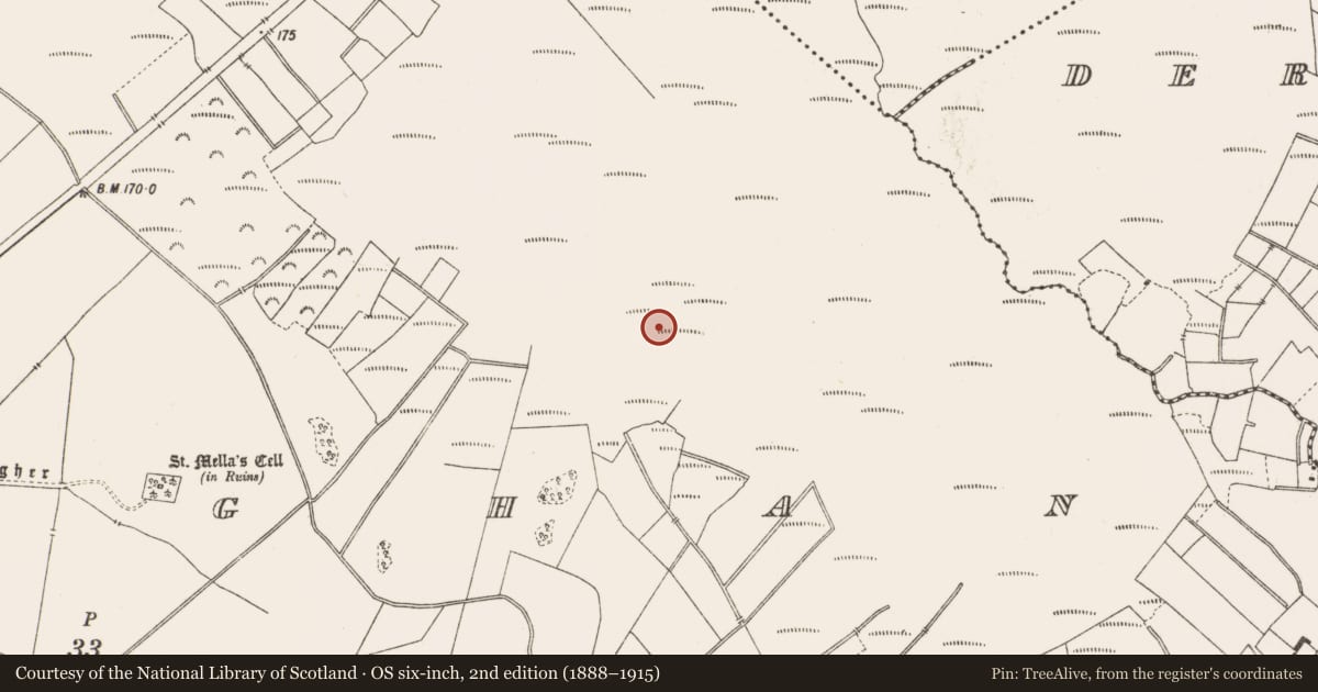 Ordnance Survey six-inch map, 2nd edition (1888–1915) covering the location of Road - class 3 togher, Lemanaghan, County Offaly, with a pin at the register's coordinates