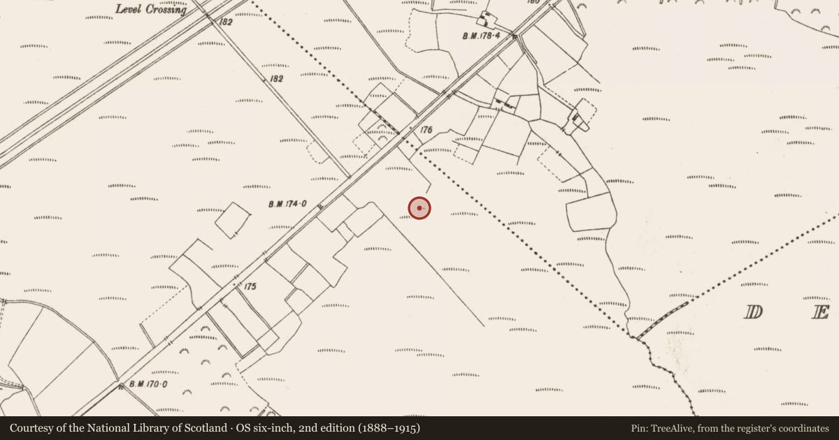 Ordnance Survey six-inch map, 2nd edition (1888–1915) covering the location of Structure - peatland, Lemanaghan, County Offaly, with a pin at the register's coordinates