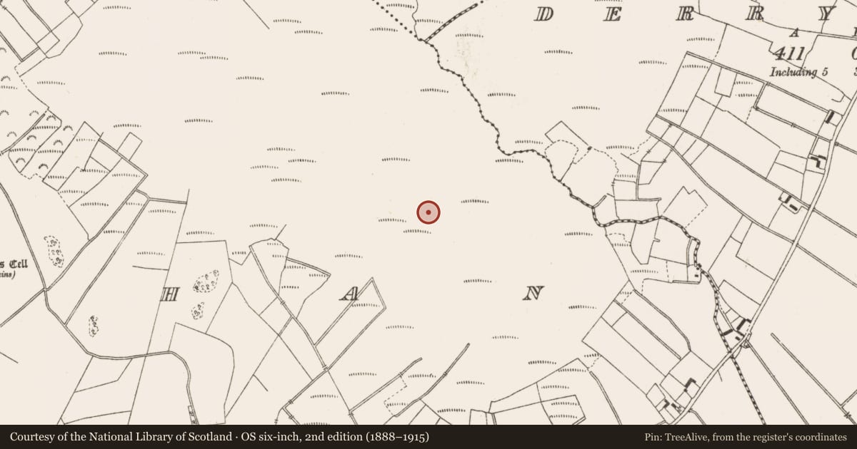 Ordnance Survey six-inch map, 2nd edition (1888–1915) covering the location of Structure - peatland, Lemanaghan, County Offaly, with a pin at the register's coordinates