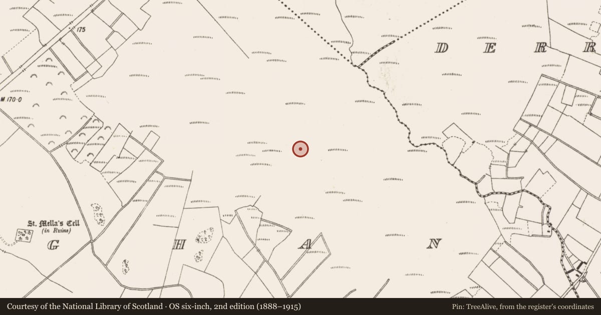 Ordnance Survey six-inch map, 2nd edition (1888–1915) covering the location of Structure - peatland, Lemanaghan, County Offaly, with a pin at the register's coordinates