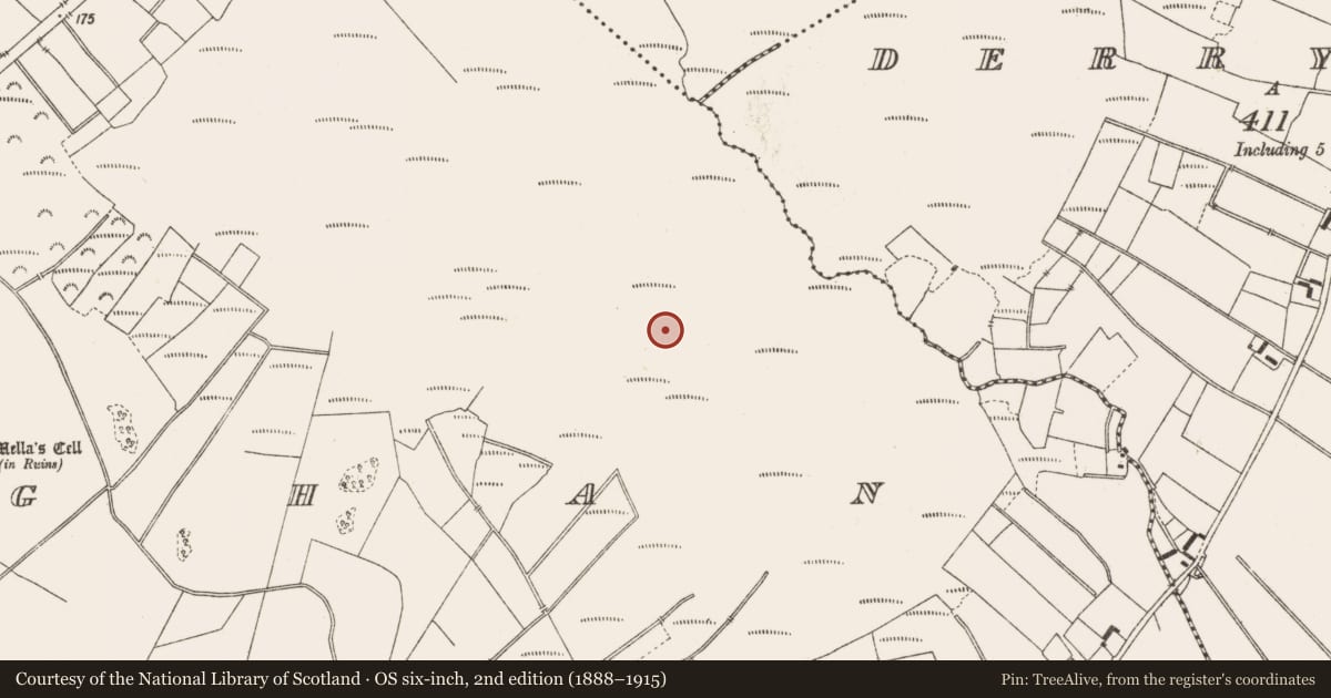 Ordnance Survey six-inch map, 2nd edition (1888–1915) covering the location of Structure - peatland, Lemanaghan, County Offaly, with a pin at the register's coordinates