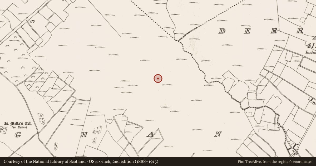 Ordnance Survey six-inch map, 2nd edition (1888–1915) covering the location of Structure - peatland, Lemanaghan, County Offaly, with a pin at the register's coordinates