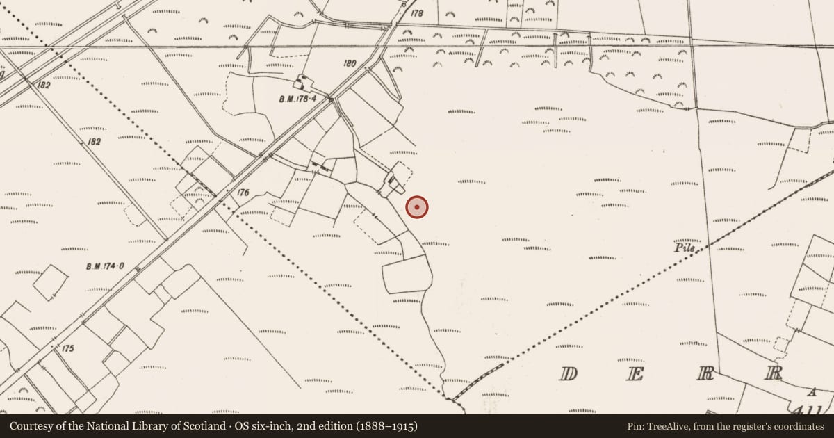 Ordnance Survey six-inch map, 2nd edition (1888–1915) covering the location of Structure - peatland, Leabeg, County Offaly, with a pin at the register's coordinates
