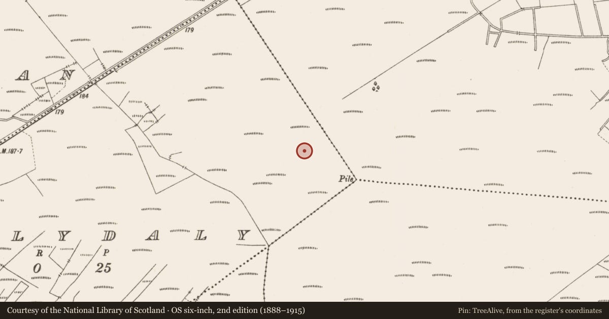 Ordnance Survey six-inch map, 2nd edition (1888–1915) covering the location of Structure - peatland, Ballydaly, County Offaly, with a pin at the register's coordinates