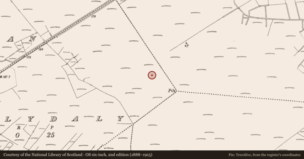 Ordnance Survey six-inch map, 2nd edition (1888–1915) covering the location of Road - class 3 togher, Ballydaly, County Offaly, with a pin at the register's coordinates