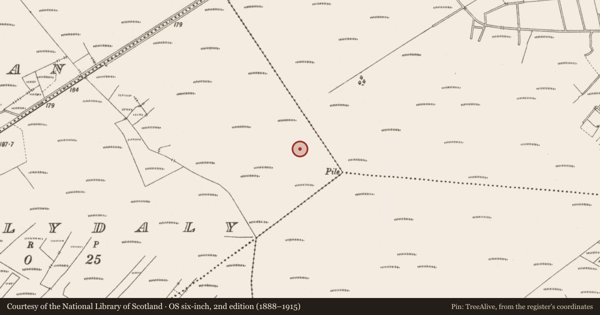 Ordnance Survey six-inch map, 2nd edition (1888–1915) covering the location of Structure - peatland, Ballydaly, County Offaly, with a pin at the register's coordinates