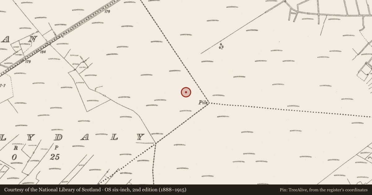 Ordnance Survey six-inch map, 2nd edition (1888–1915) covering the location of Structure - peatland, Ballydaly, County Offaly, with a pin at the register's coordinates