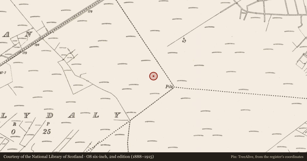 Ordnance Survey six-inch map, 2nd edition (1888–1915) covering the location of Structure - peatland, Ballydaly, County Offaly, with a pin at the register's coordinates