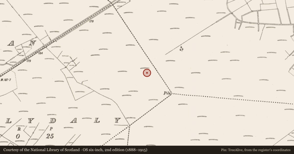Ordnance Survey six-inch map, 2nd edition (1888–1915) covering the location of Road - class 3 togher, Ballydaly, County Offaly, with a pin at the register's coordinates