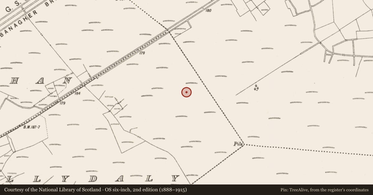Ordnance Survey six-inch map, 2nd edition (1888–1915) covering the location of Structure - peatland, Ballydaly, County Offaly, with a pin at the register's coordinates