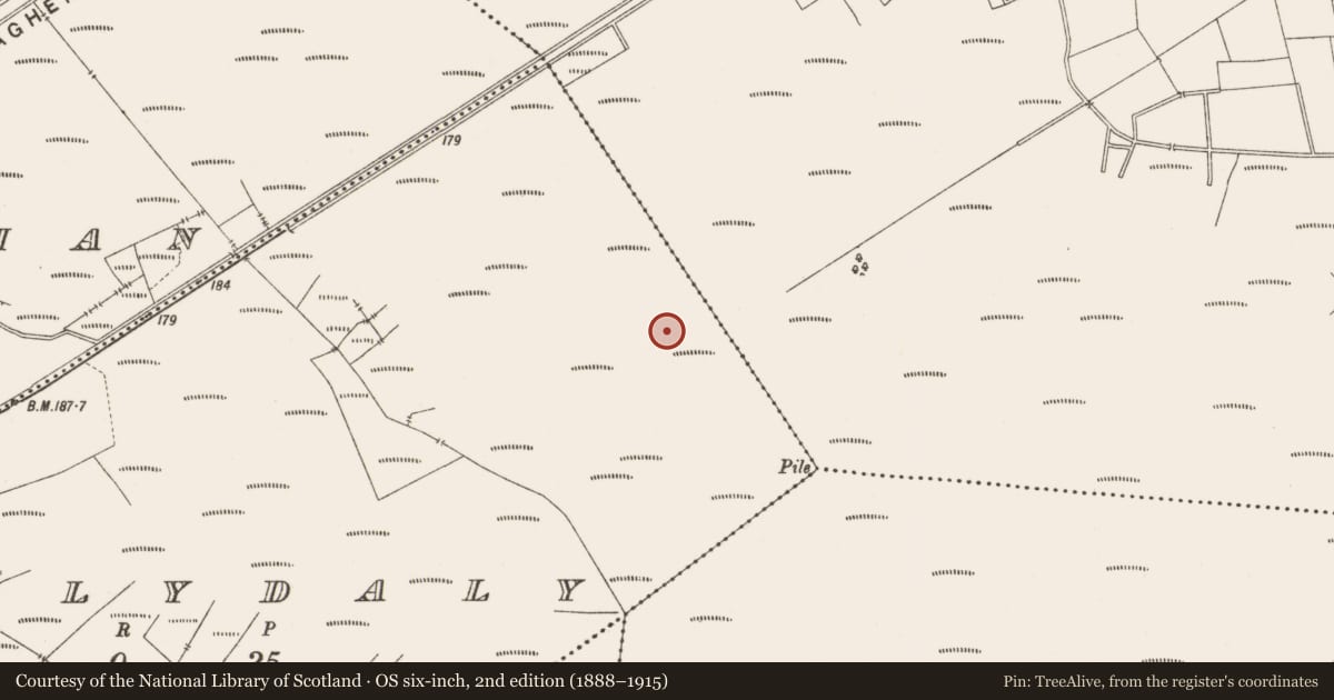 Ordnance Survey six-inch map, 2nd edition (1888–1915) covering the location of Road - class 3 togher, Ballydaly, County Offaly, with a pin at the register's coordinates