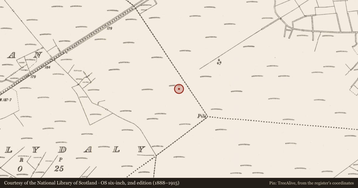 Ordnance Survey six-inch map, 2nd edition (1888–1915) covering the location of Road - class 3 togher, Ballydaly, County Offaly, with a pin at the register's coordinates
