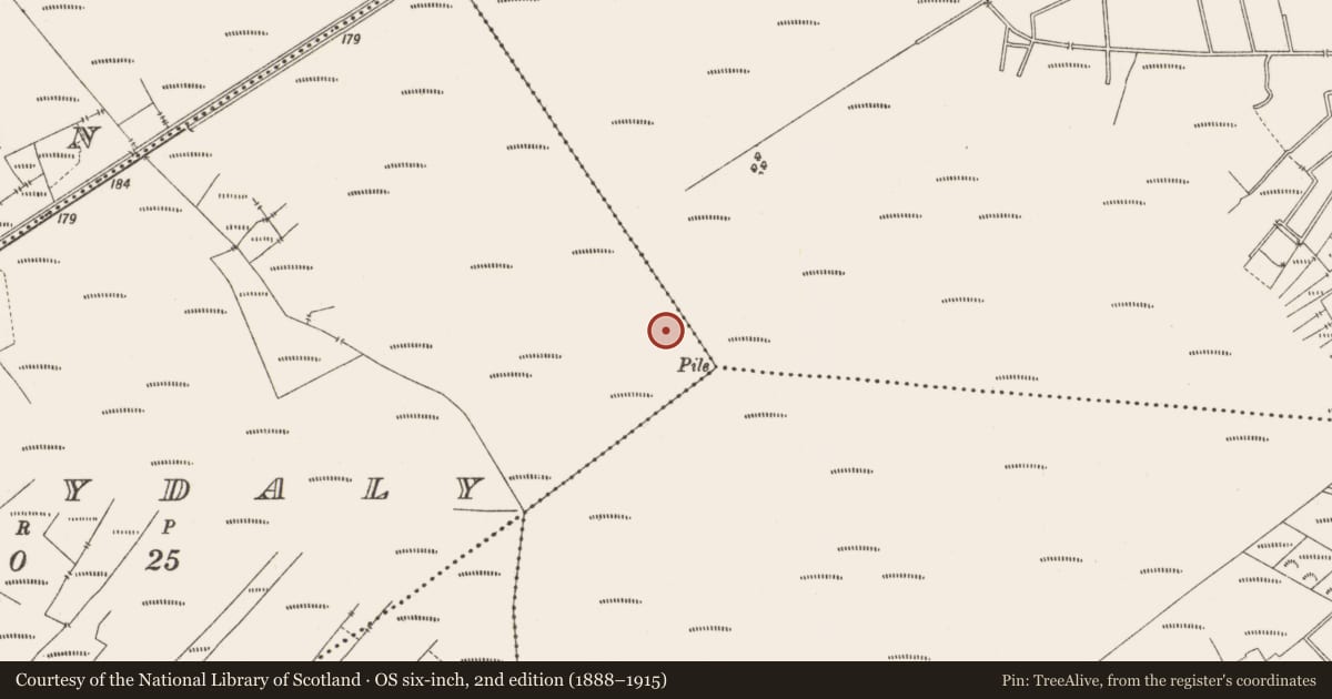 Ordnance Survey six-inch map, 2nd edition (1888–1915) covering the location of Structure - peatland, Ballydaly, County Offaly, with a pin at the register's coordinates