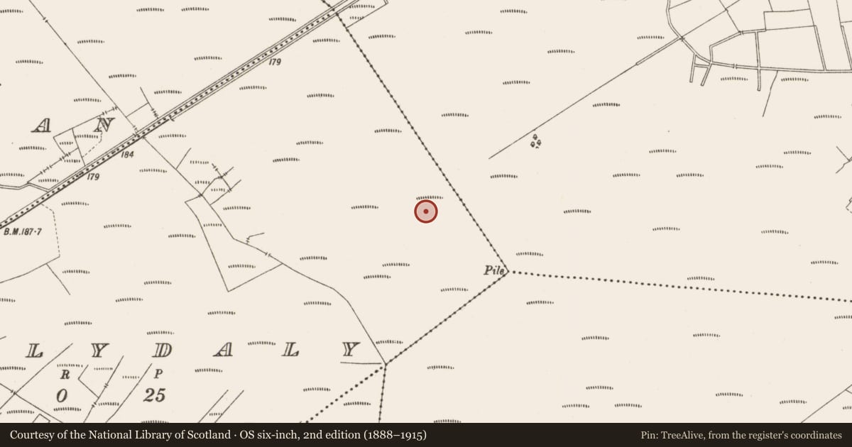 Ordnance Survey six-inch map, 2nd edition (1888–1915) covering the location of Structure - peatland, Ballydaly, County Offaly, with a pin at the register's coordinates