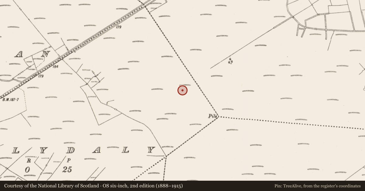 Ordnance Survey six-inch map, 2nd edition (1888–1915) covering the location of Structure - peatland, Ballydaly, County Offaly, with a pin at the register's coordinates