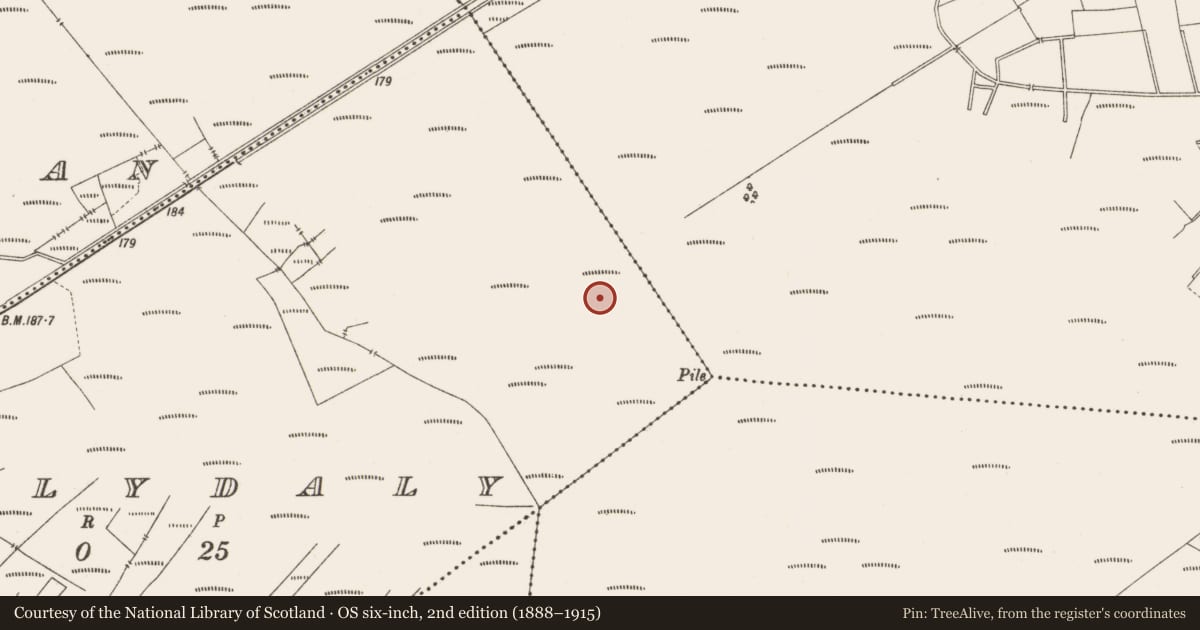 Ordnance Survey six-inch map, 2nd edition (1888–1915) covering the location of Structure - peatland, Ballydaly, County Offaly, with a pin at the register's coordinates