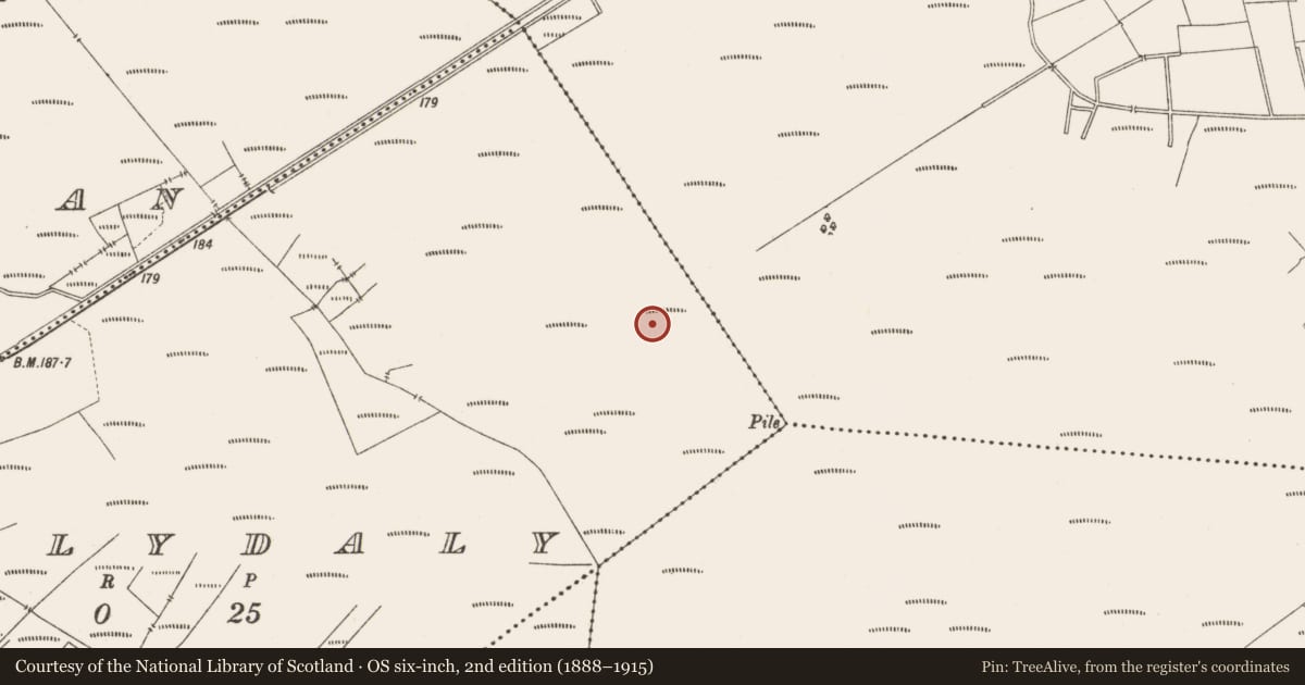 Ordnance Survey six-inch map, 2nd edition (1888–1915) covering the location of Structure - peatland, Ballydaly, County Offaly, with a pin at the register's coordinates