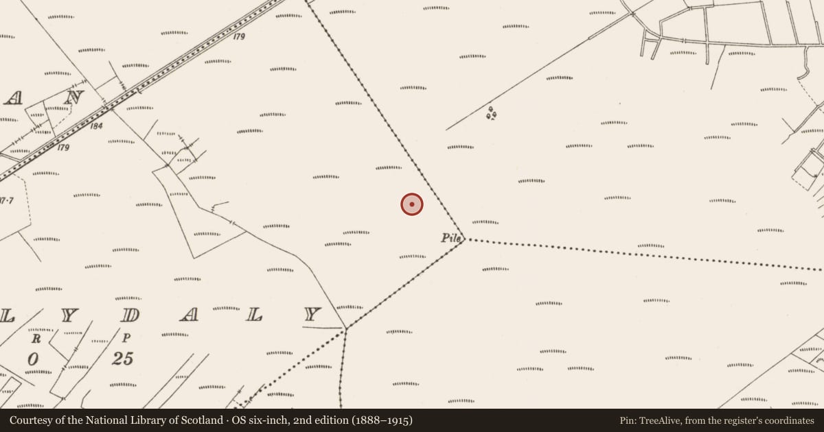 Ordnance Survey six-inch map, 2nd edition (1888–1915) covering the location of Road - class 3 togher, Ballydaly, County Offaly, with a pin at the register's coordinates