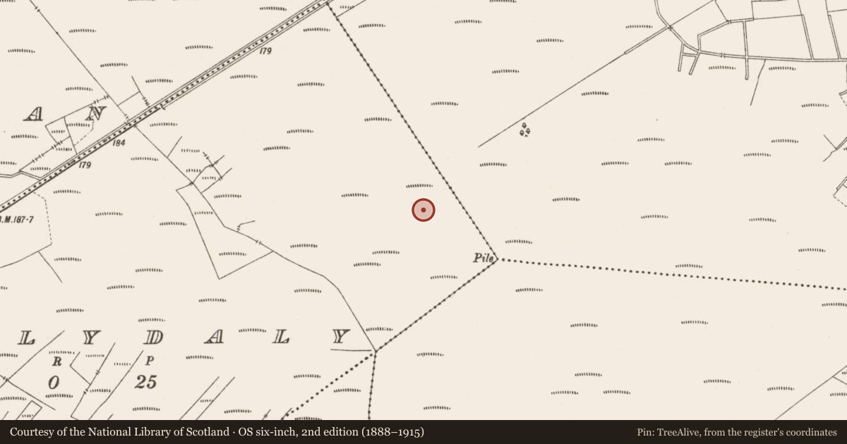 Ordnance Survey six-inch map, 2nd edition (1888–1915) covering the location of Structure - peatland, Ballydaly, County Offaly, with a pin at the register's coordinates