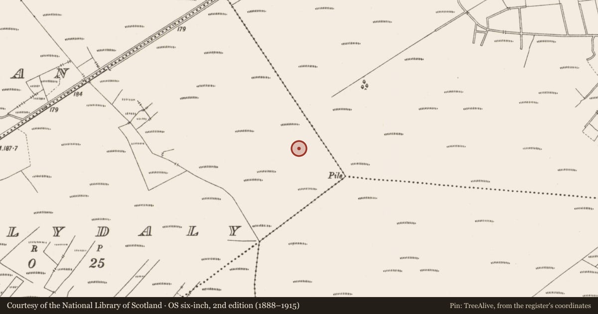 Ordnance Survey six-inch map, 2nd edition (1888–1915) covering the location of Structure - peatland, Ballydaly, County Offaly, with a pin at the register's coordinates