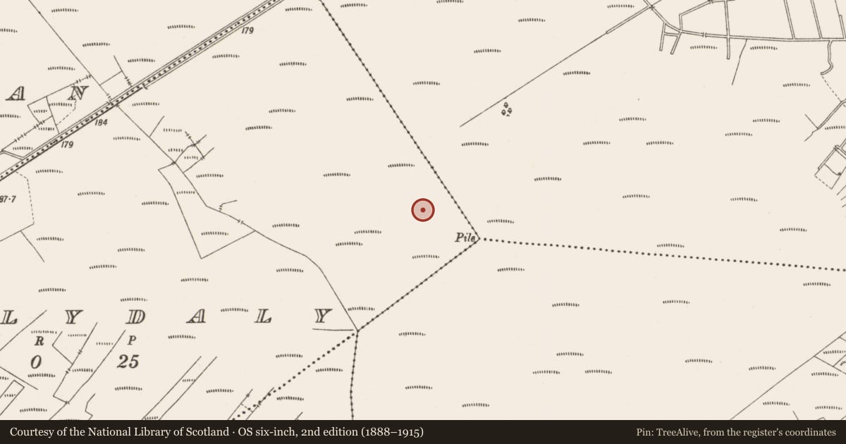 Ordnance Survey six-inch map, 2nd edition (1888–1915) covering the location of Structure - peatland, Ballydaly, County Offaly, with a pin at the register's coordinates