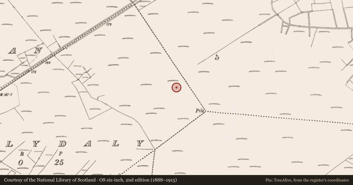 Ordnance Survey six-inch map, 2nd edition (1888–1915) covering the location of Structure - peatland, Ballydaly, County Offaly, with a pin at the register's coordinates