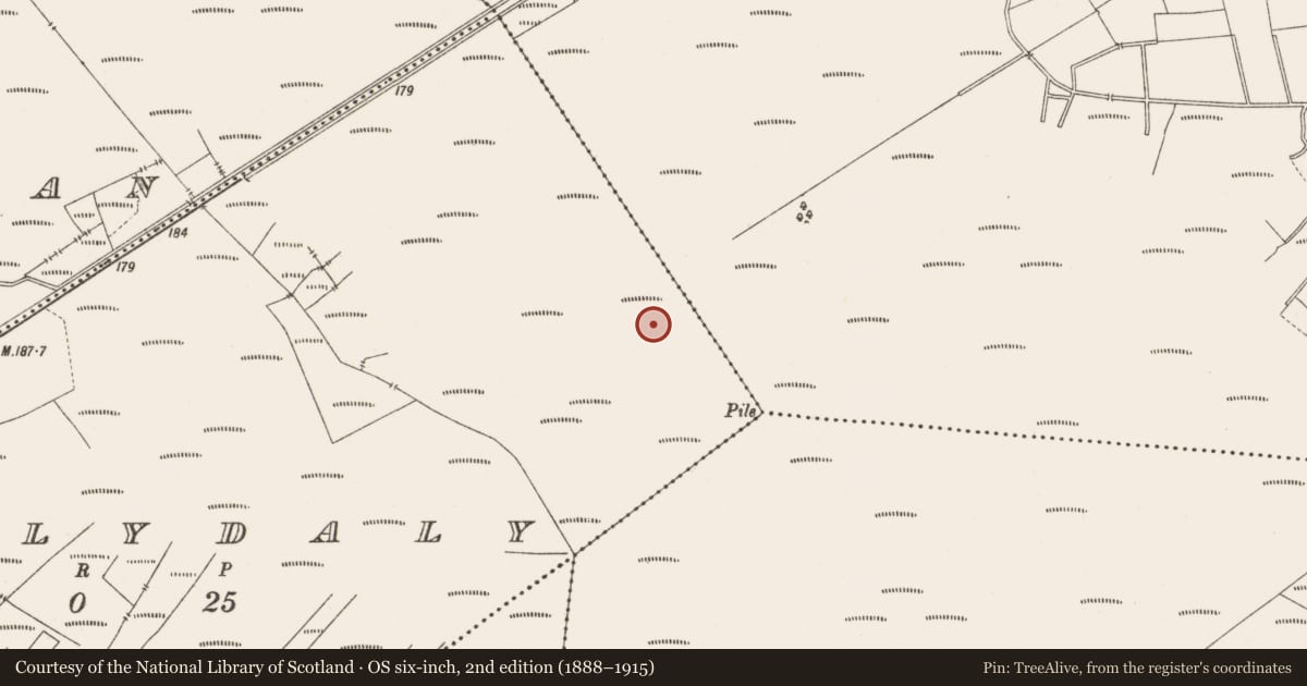 Ordnance Survey six-inch map, 2nd edition (1888–1915) covering the location of Structure - peatland, Ballydaly, County Offaly, with a pin at the register's coordinates
