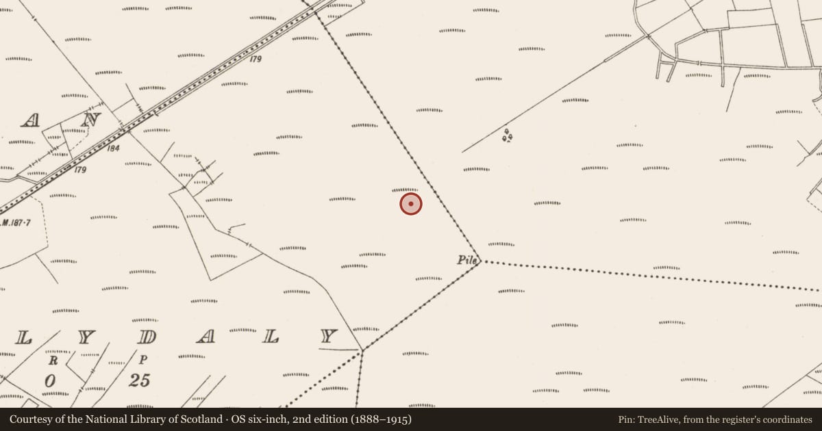 Ordnance Survey six-inch map, 2nd edition (1888–1915) covering the location of Structure - peatland, Ballydaly, County Offaly, with a pin at the register's coordinates