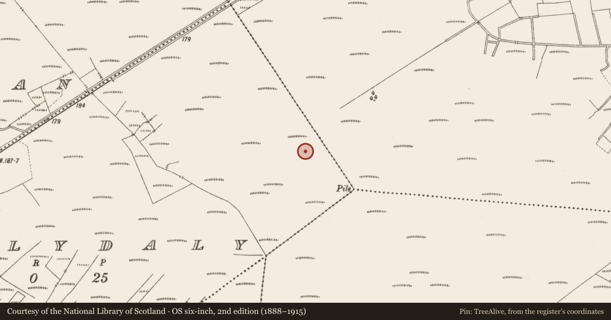 Ordnance Survey six-inch map, 2nd edition (1888–1915) covering the location of Structure - peatland, Ballydaly, County Offaly, with a pin at the register's coordinates