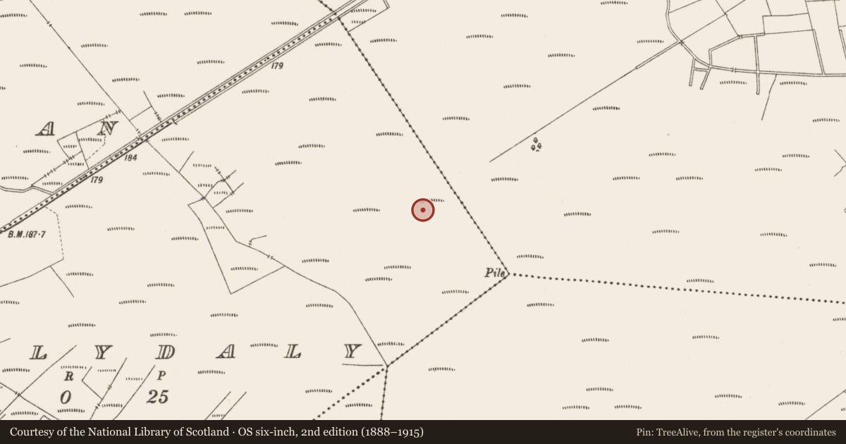 Ordnance Survey six-inch map, 2nd edition (1888–1915) covering the location of Structure - peatland, Ballydaly, County Offaly, with a pin at the register's coordinates