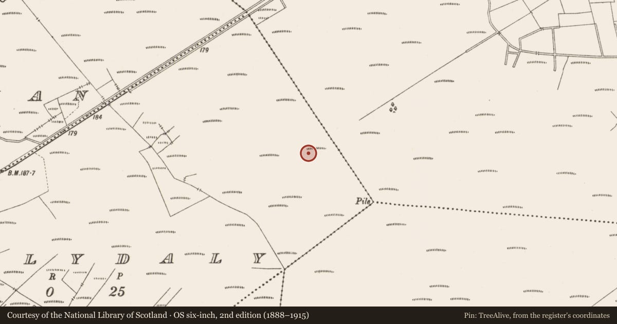 Ordnance Survey six-inch map, 2nd edition (1888–1915) covering the location of Structure - peatland, Ballydaly, County Offaly, with a pin at the register's coordinates