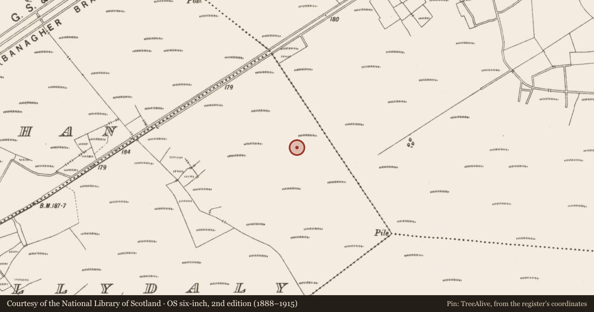 Ordnance Survey six-inch map, 2nd edition (1888–1915) covering the location of Structure - peatland, Ballydaly, County Offaly, with a pin at the register's coordinates