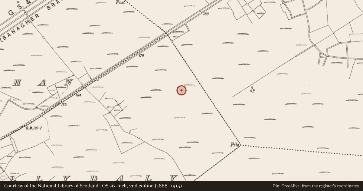 Ordnance Survey six-inch map, 2nd edition (1888–1915) covering the location of Structure - peatland, Ballydaly, County Offaly, with a pin at the register's coordinates