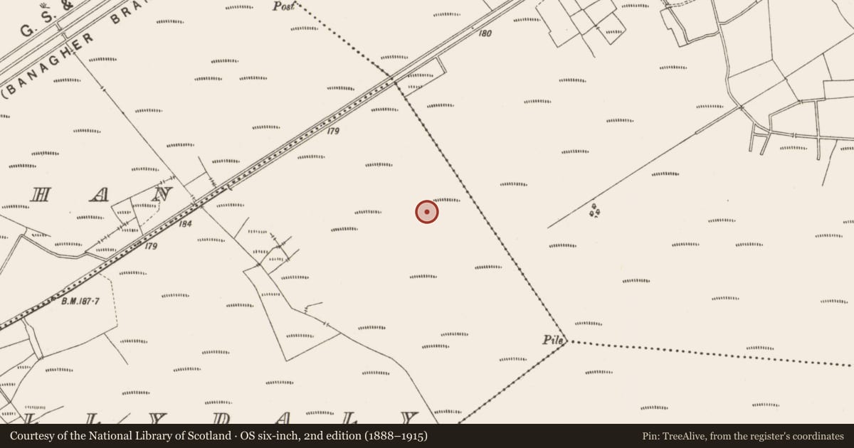 Ordnance Survey six-inch map, 2nd edition (1888–1915) covering the location of Road - class 3 togher, Ballydaly, County Offaly, with a pin at the register's coordinates