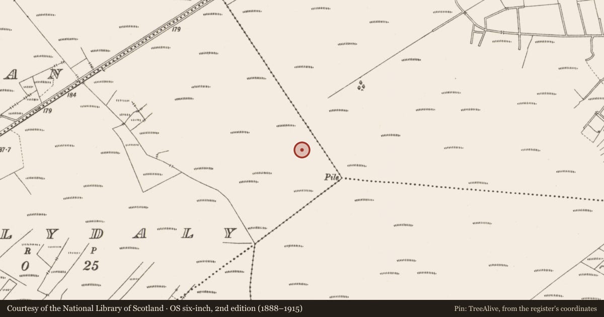 Ordnance Survey six-inch map, 2nd edition (1888–1915) covering the location of Structure - peatland, Ballydaly, County Offaly, with a pin at the register's coordinates