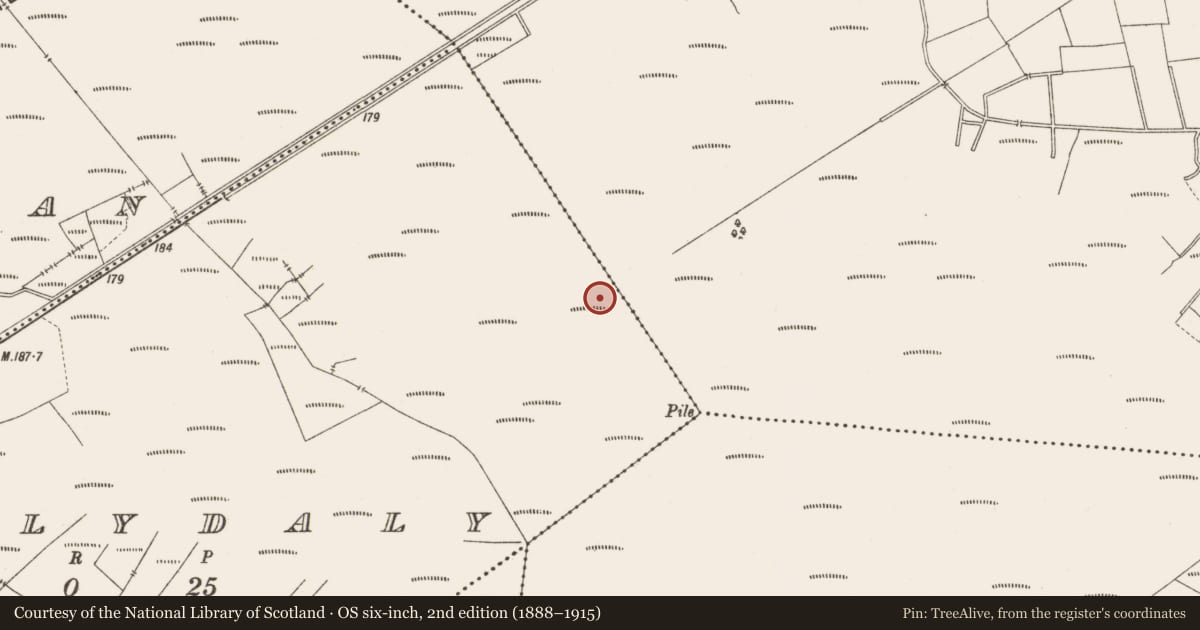 Ordnance Survey six-inch map, 2nd edition (1888–1915) covering the location of Road - class 3 togher, Ballydaly, County Offaly, with a pin at the register's coordinates