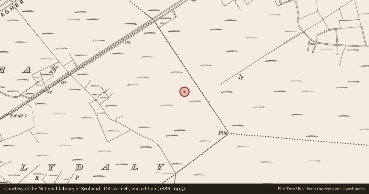 Ordnance Survey six-inch map, 2nd edition (1888–1915) covering the location of Structure - peatland, Ballydaly, County Offaly, with a pin at the register's coordinates