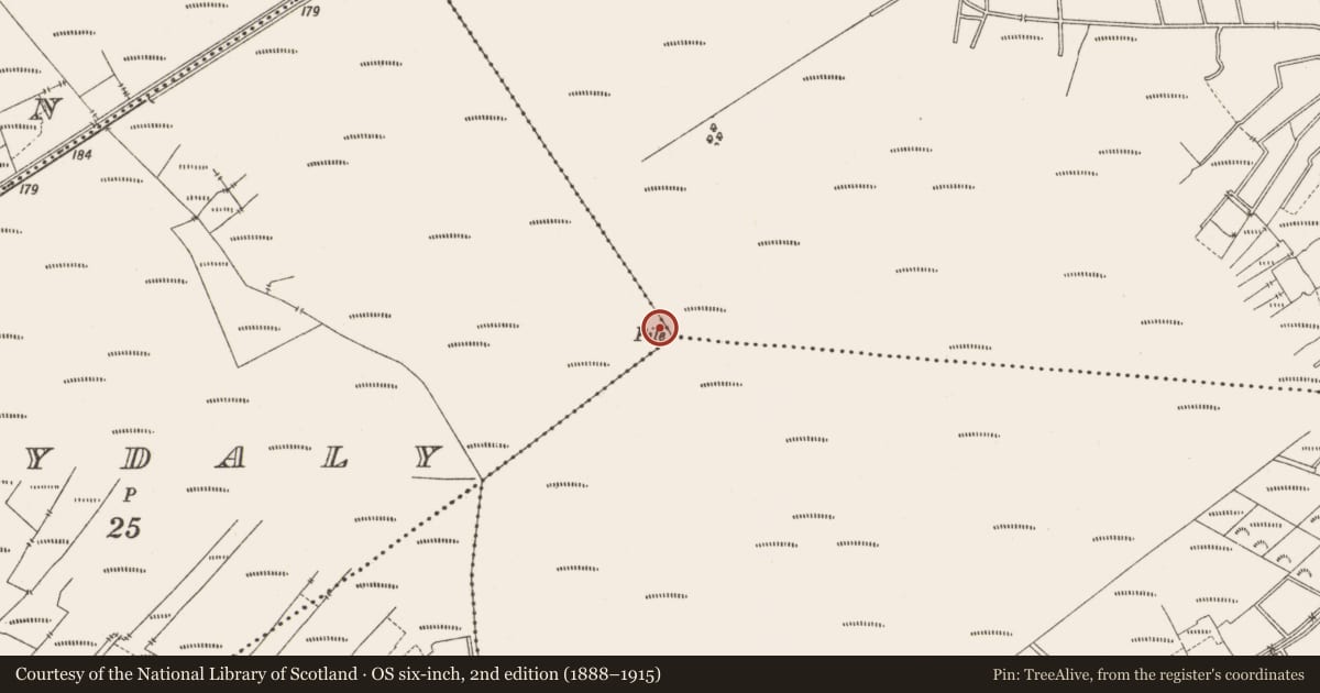 Ordnance Survey six-inch map, 2nd edition (1888–1915) covering the location of Structure - peatland, Ballydaly, County Offaly, with a pin at the register's coordinates