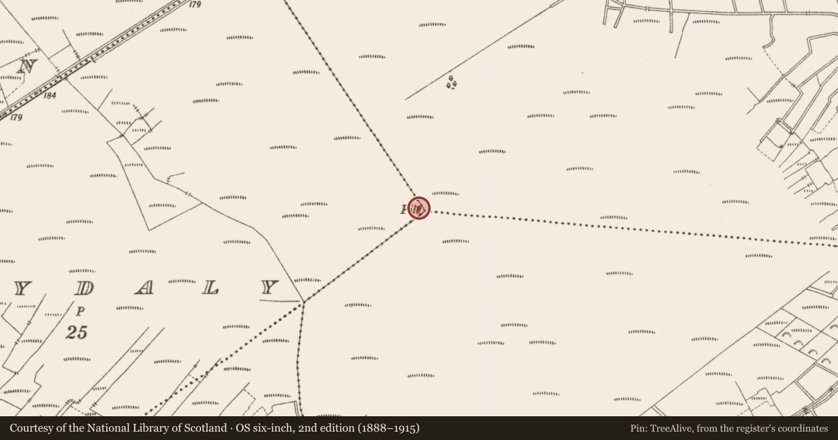 Ordnance Survey six-inch map, 2nd edition (1888–1915) covering the location of Structure - peatland, Ballydaly, County Offaly, with a pin at the register's coordinates
