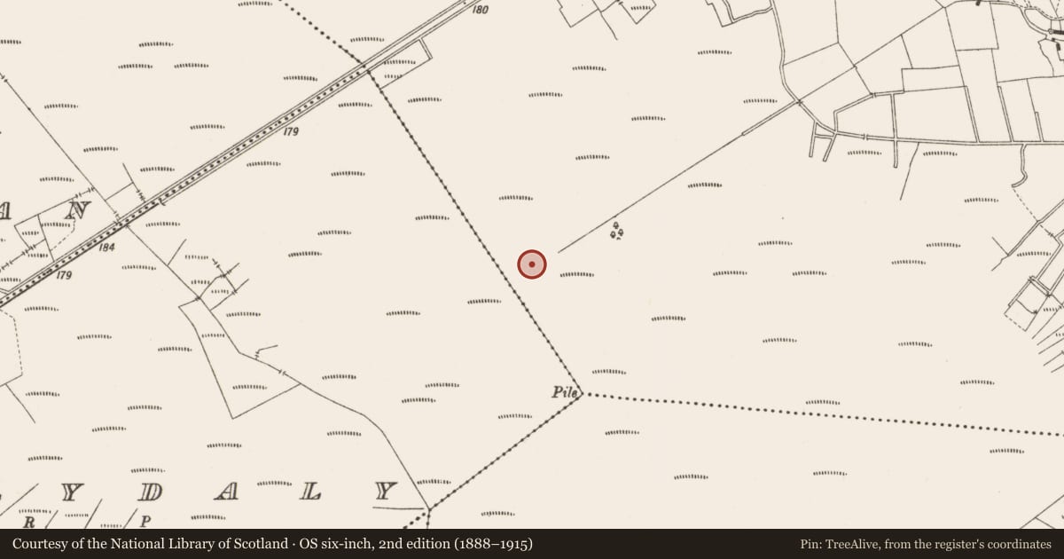 Ordnance Survey six-inch map, 2nd edition (1888–1915) covering the location of Structure - peatland, Lemanaghan, County Offaly, with a pin at the register's coordinates