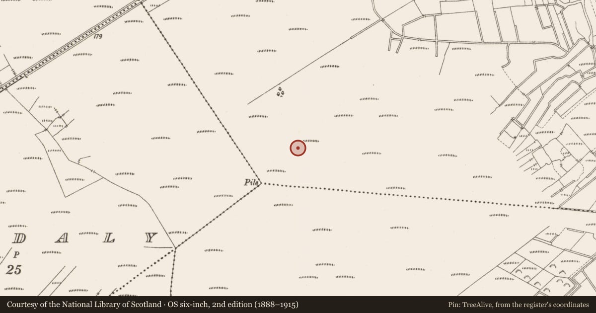 Ordnance Survey six-inch map, 2nd edition (1888–1915) covering the location of Structure - peatland, Lemanaghan, County Offaly, with a pin at the register's coordinates